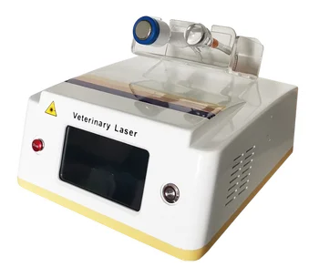 Косметологический апарат за обезболяване Ветеринарен лазер 60 W 60 W 960 Нм Лазерно физиотерапевтическое обзавеждане клас 4